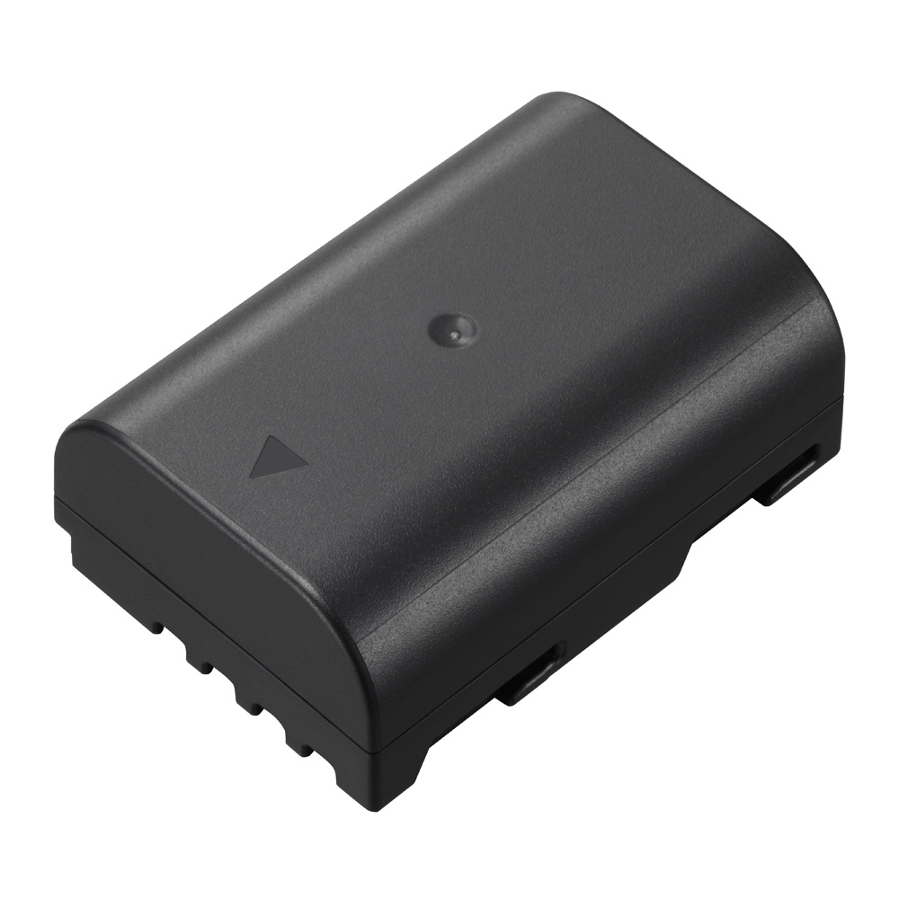 Panasonic DMW-BLF19E Akku