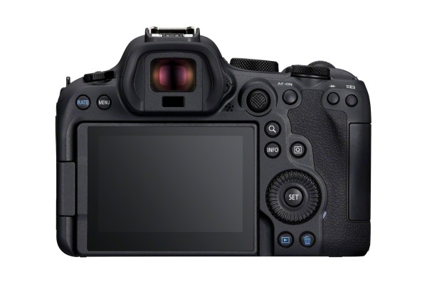 Canon EOS R6 Mark II + RF 100-500mm 4.5-7.1 L IS USM