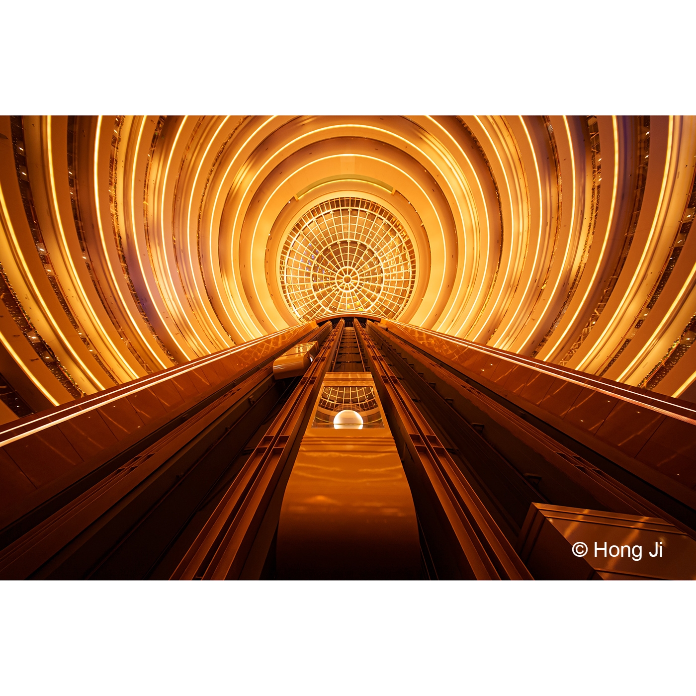 Laowa AF 10mm 2.8 Zero-D FF für Nikon Z