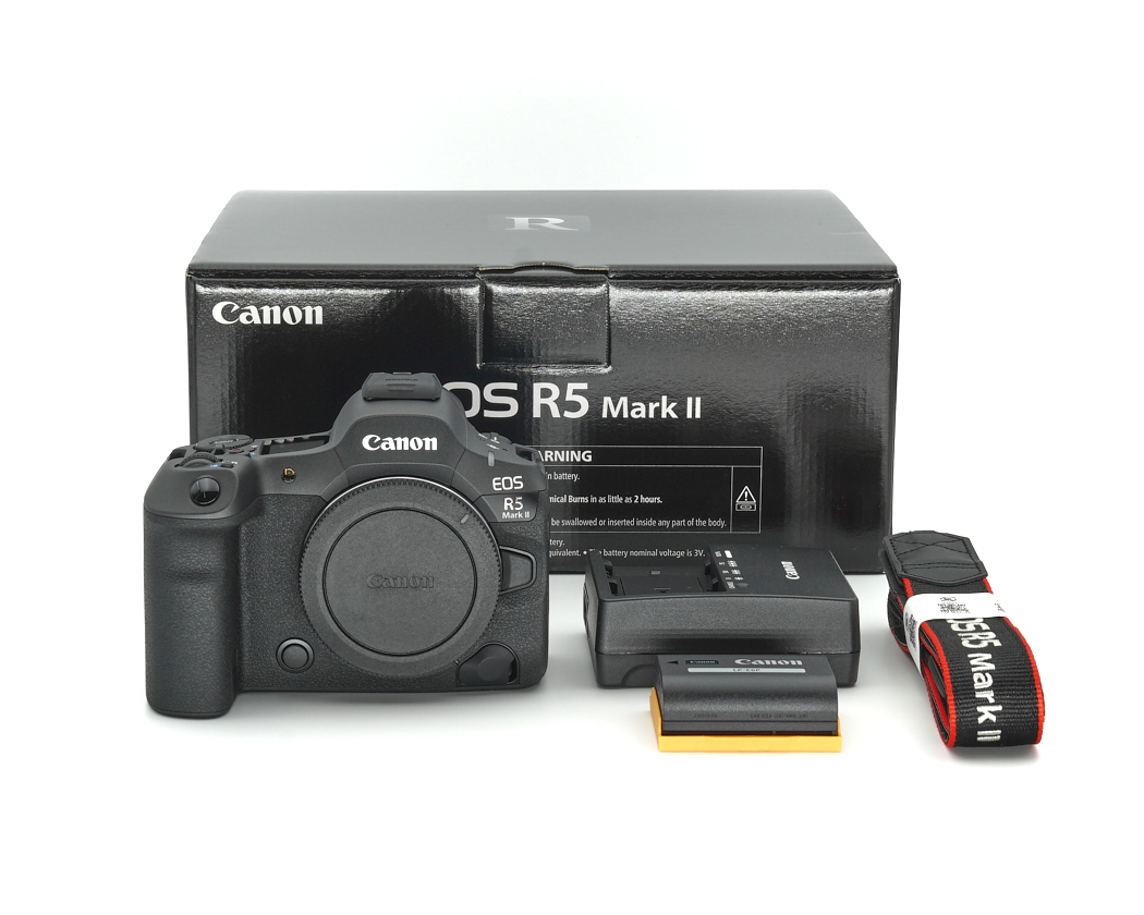 Kamera, DSLR, Canon, Kamera-Körper, Tragegurt
