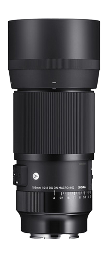 Sigma Art 105mm 2.8 DG DN Macro für L-Mount