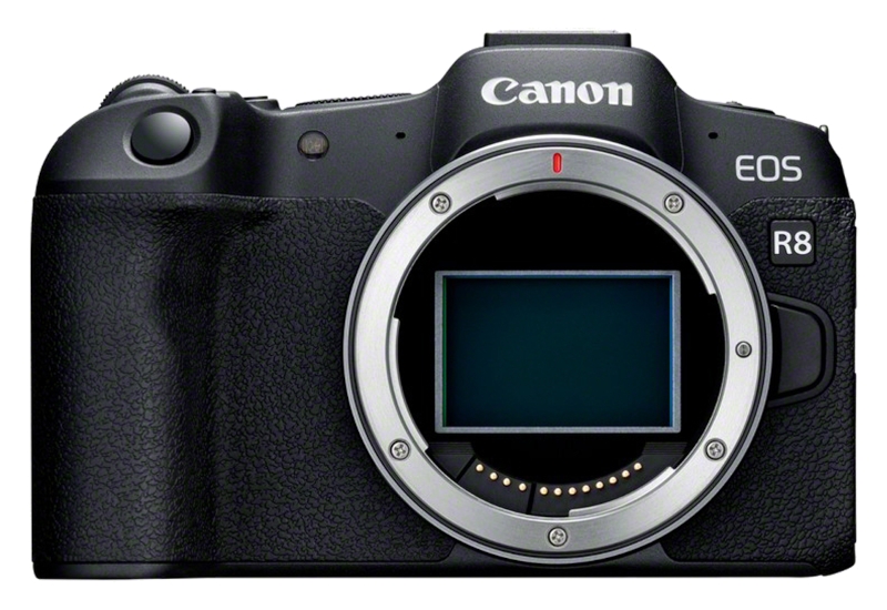 Canon EOS R8 + RF 24-105mm 4.0 L IS USM