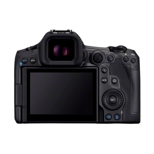 DSLR, Kamera, digital, Rückseite, LCD-Bildschirm