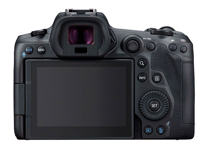 Canon EOS R5 + RF 24-240mm 4.0-6.3 IS USM