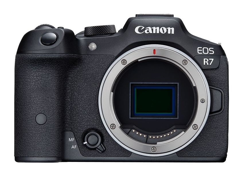 Canon EOS R7 + RF 100-400mm IS USM