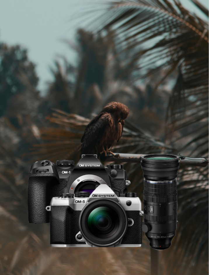 Kamera, DSLR, Spiegelreflexkamera, Objektiv, Fernobjektiv