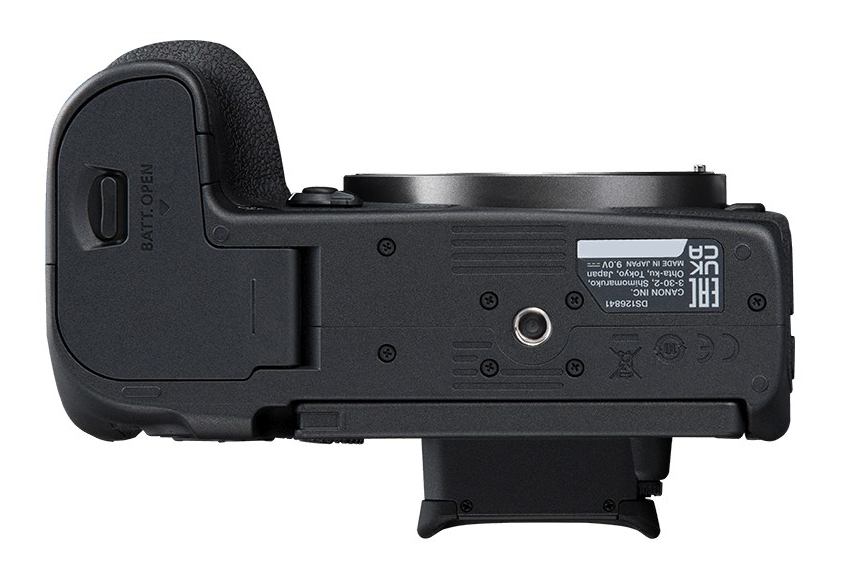 Canon EOS R7 + RF 100-400mm IS USM