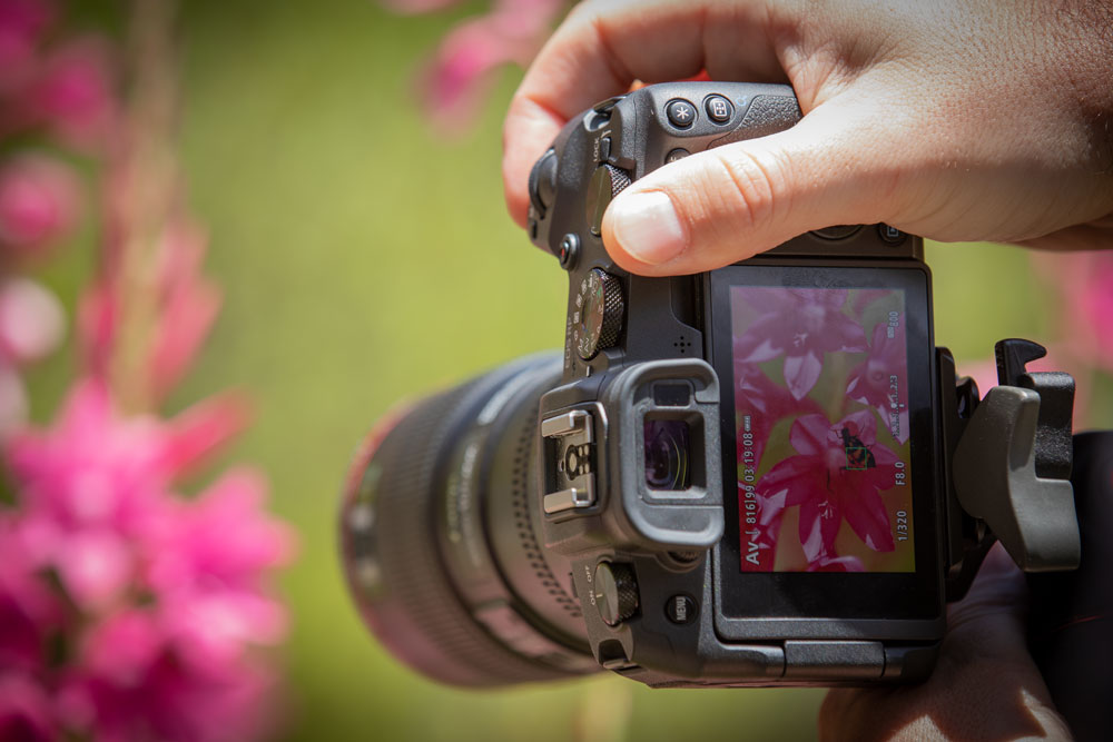 Canon EOS RP + RF 24-105mm 4.0-7.1 IS STM