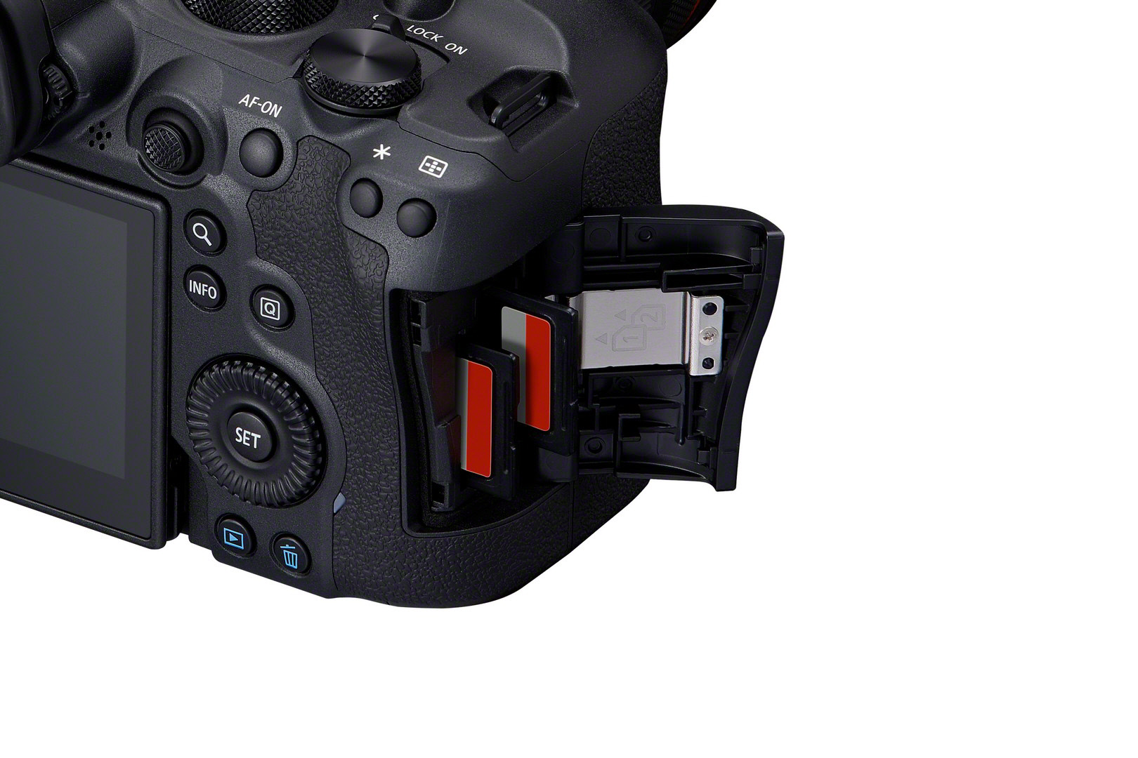 Canon EOS R6 Mark II + EF-EOS R Adapter