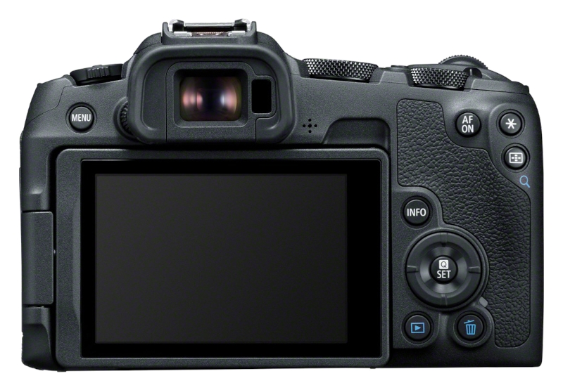 Canon EOS R8 + RF 24-240mm IS USM