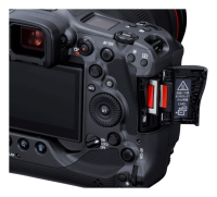 Canon EOS R3 + RF 50mm 1.8 STM