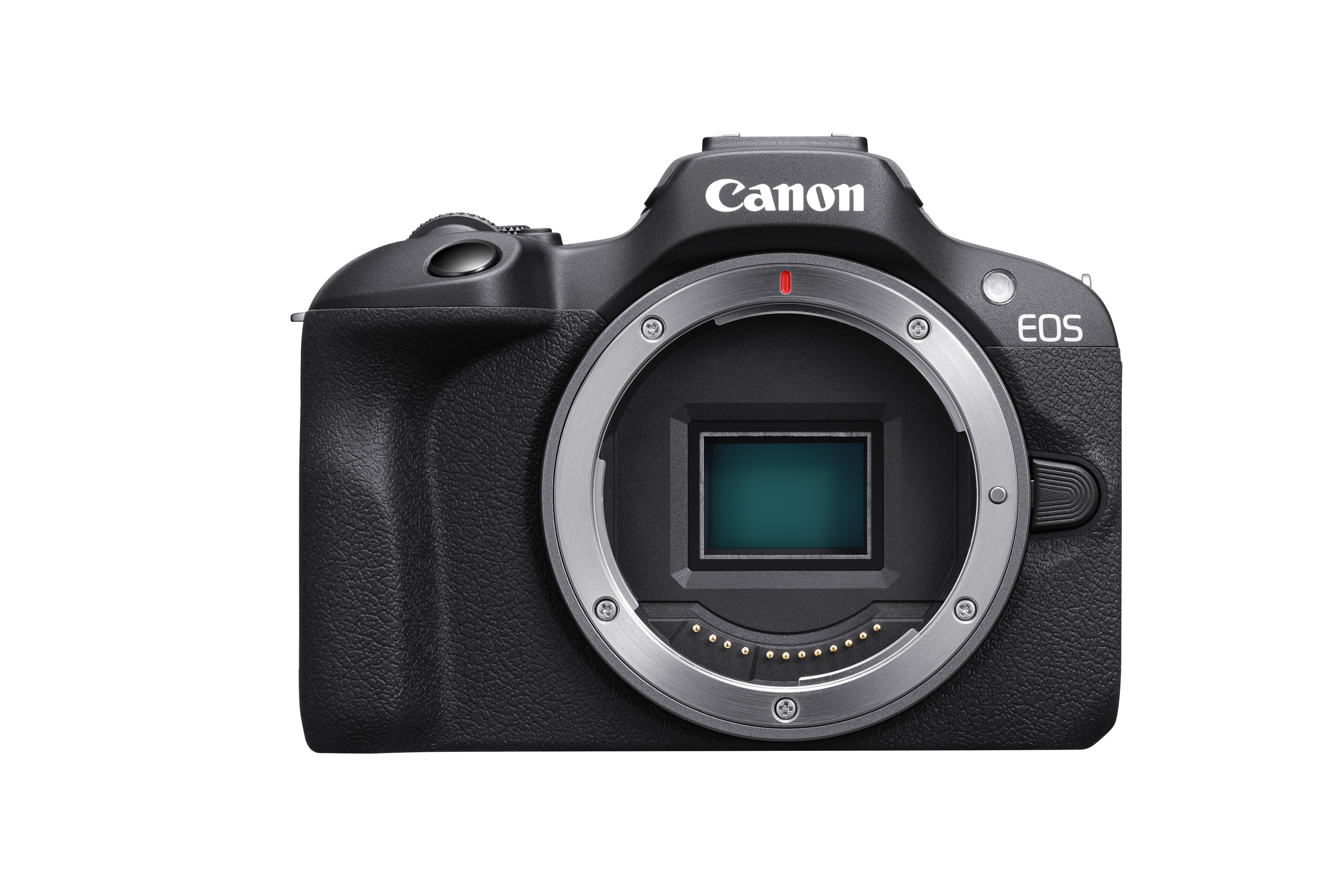 Canon EOS R100 + RF-S 18-45mm IS STM + RF-S 55-210mm 5-7.1 IS STM