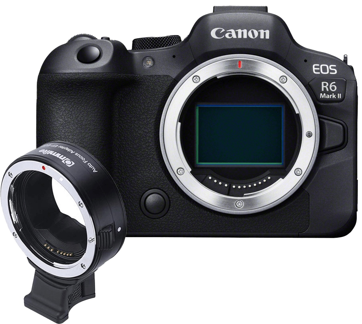 Canon EOS R6 Mark II + CM Bayonettadapter EF/EOS R  , mit Stativfuss