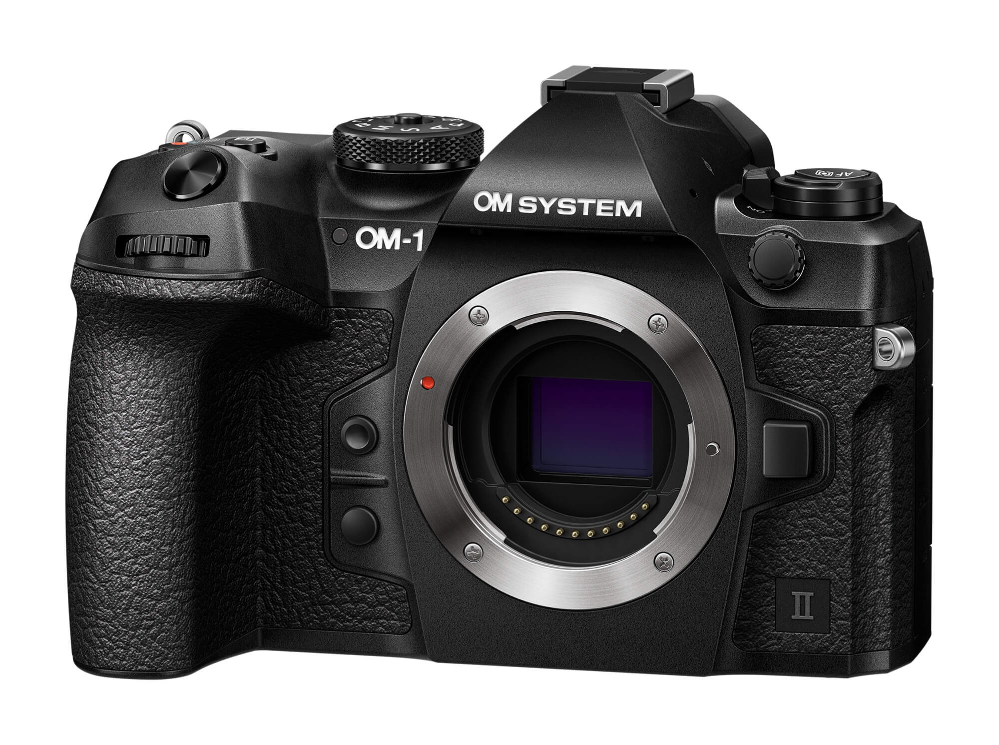 OM SYSTEM OM-1 Mark II + HLD-10 Batteriehandgriff