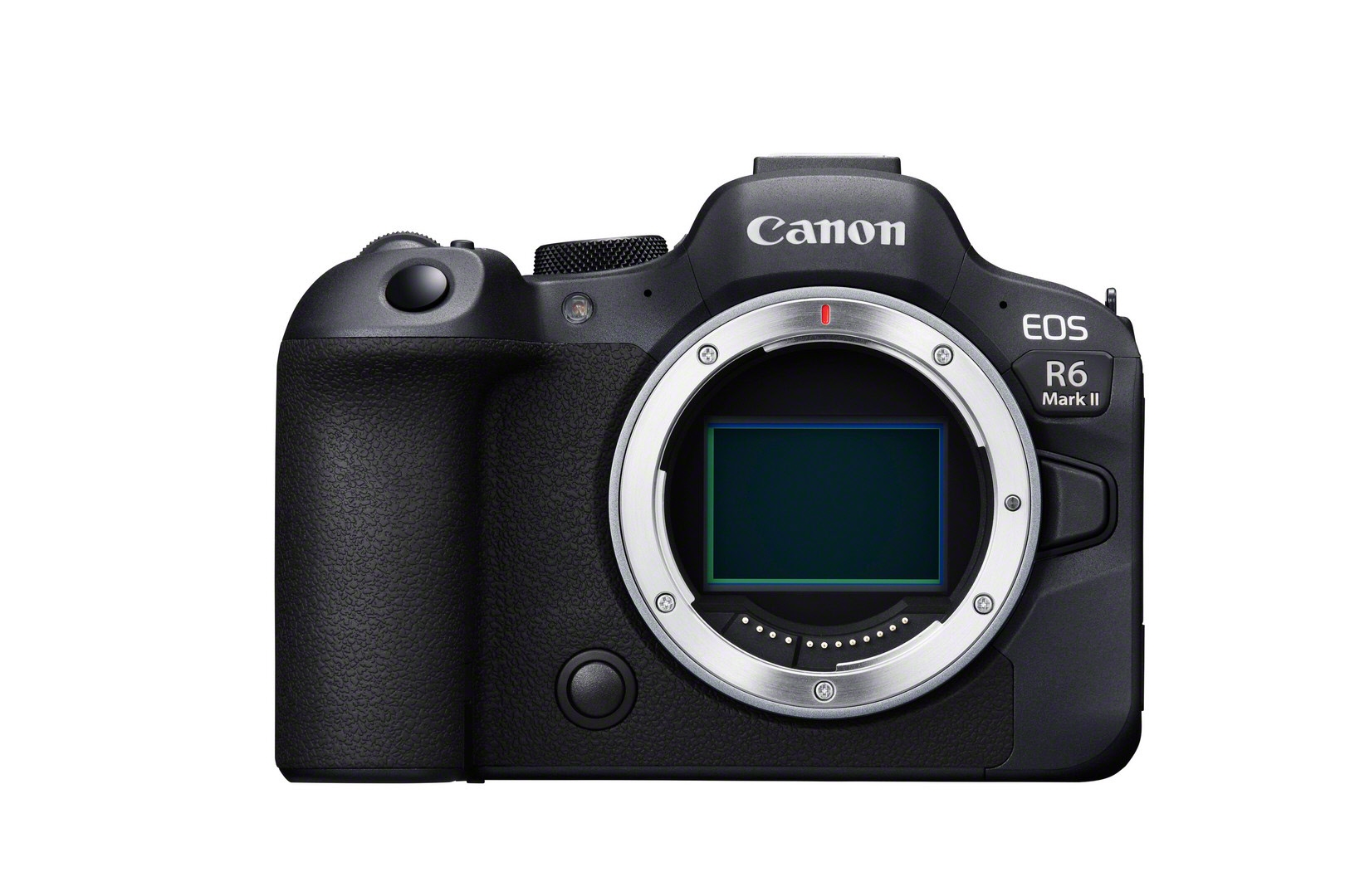 Canon EOS R6 Mark II + RF 45mm 1.2 STM