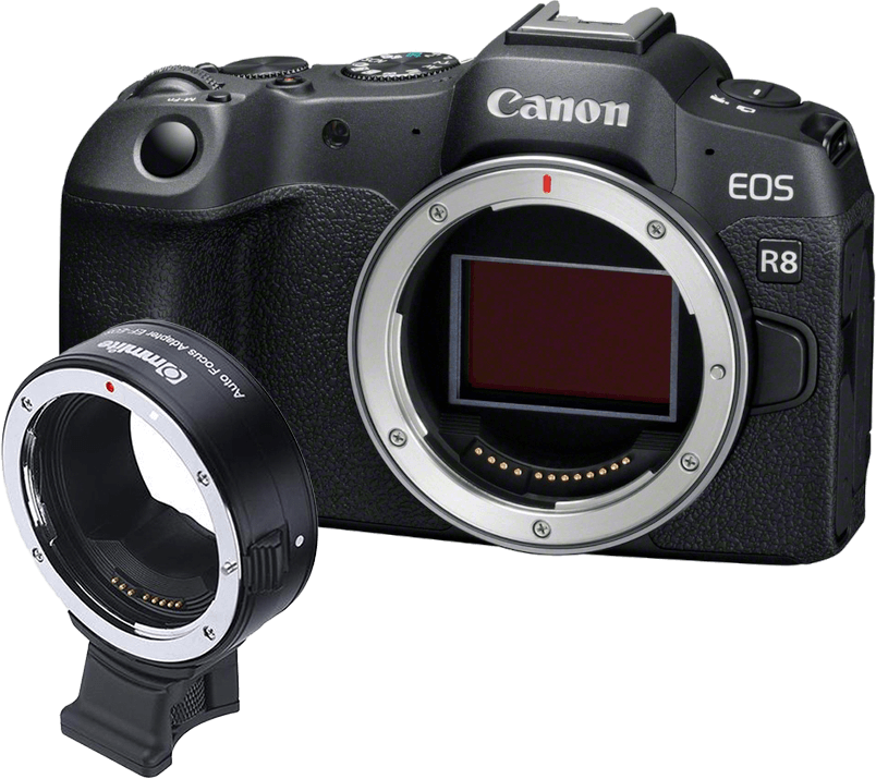 Canon EOS R8 + Commlite Adapter Canon EOS EF/EF-S mit Stativfuss