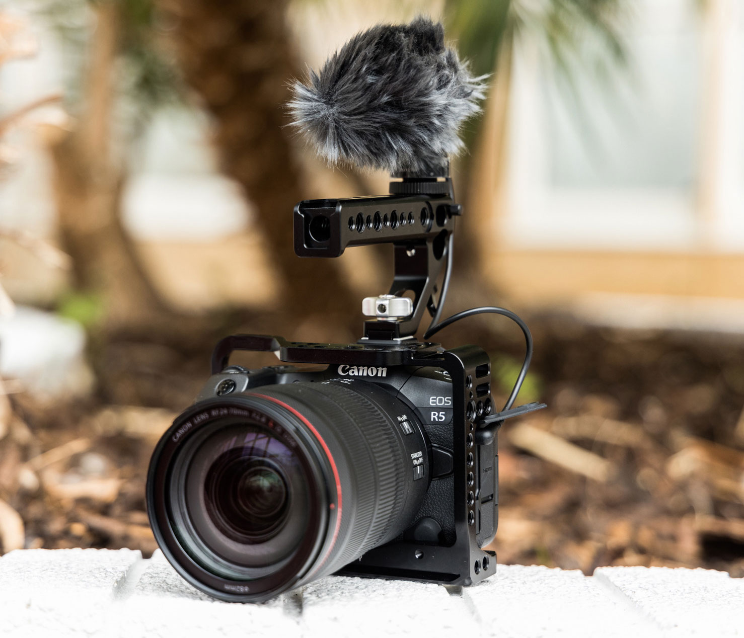 Canon EOS R5 + RF 24-70mm 2.8 L IS USM